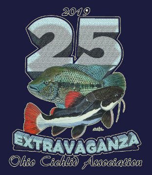 Extravaganza t-shirt 2019