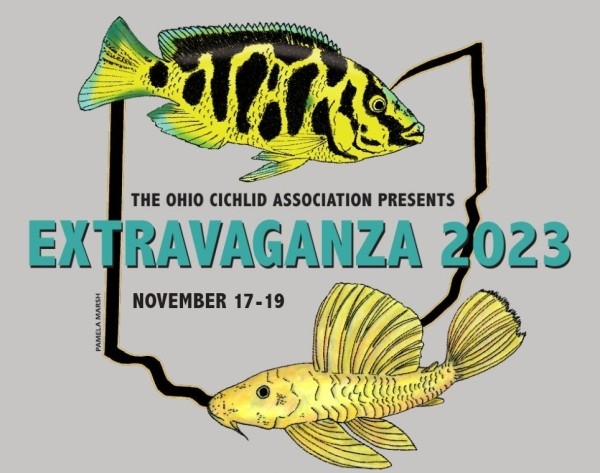 OCA 2022 Extravaganza T-Shirt